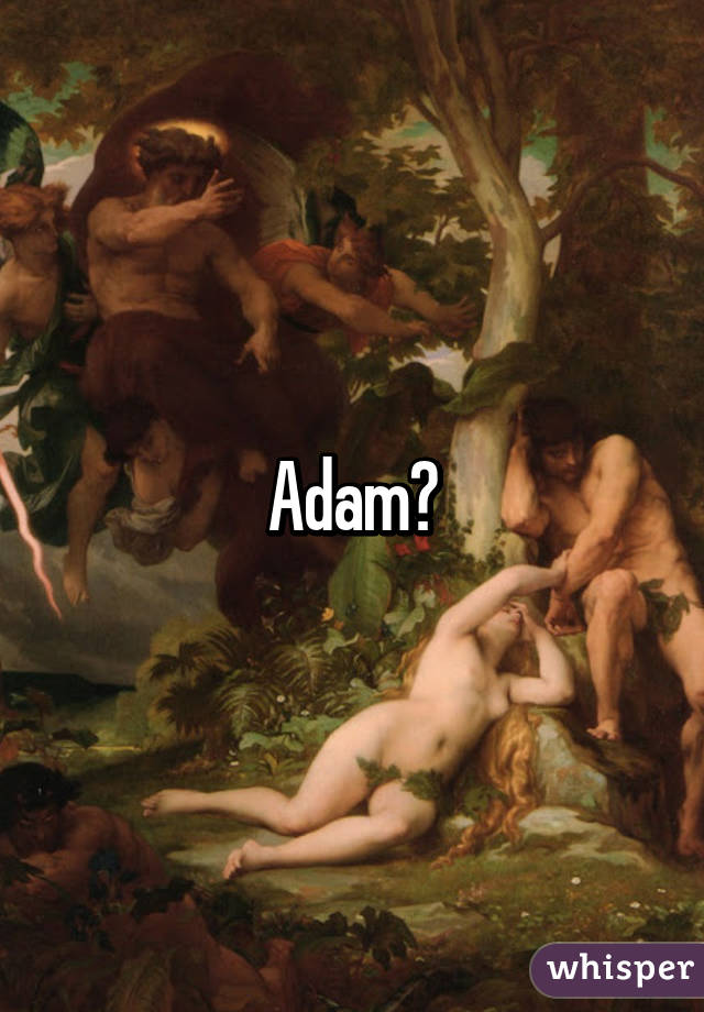 Adam?