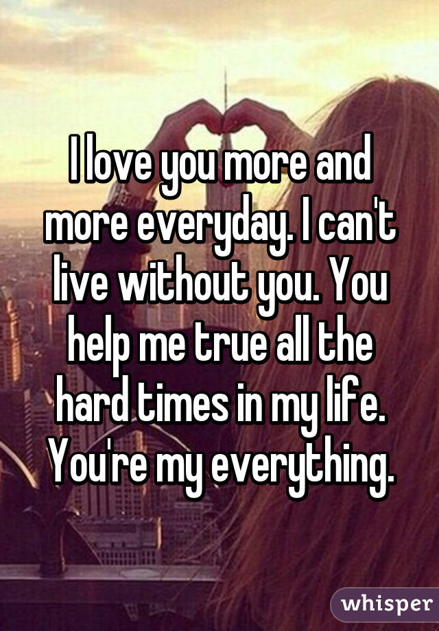 I love you more and more everyday. I can't live without you. You help me true all the hard times in my life. You're my everything.
