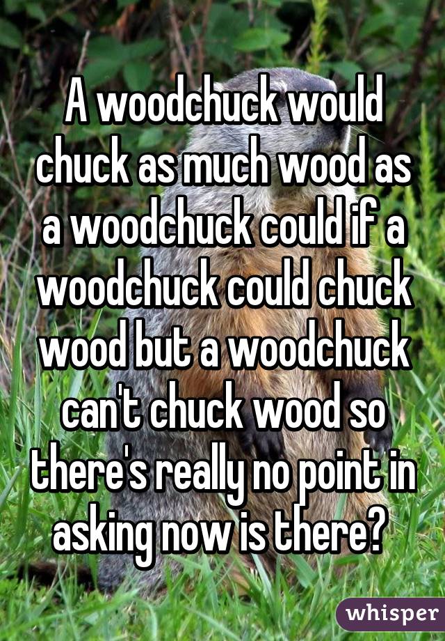 A woodchuck would chuck as much wood as a woodchuck could if a woodchuck could chuck wood but a woodchuck can't chuck wood so there's really no point in asking now is there? 