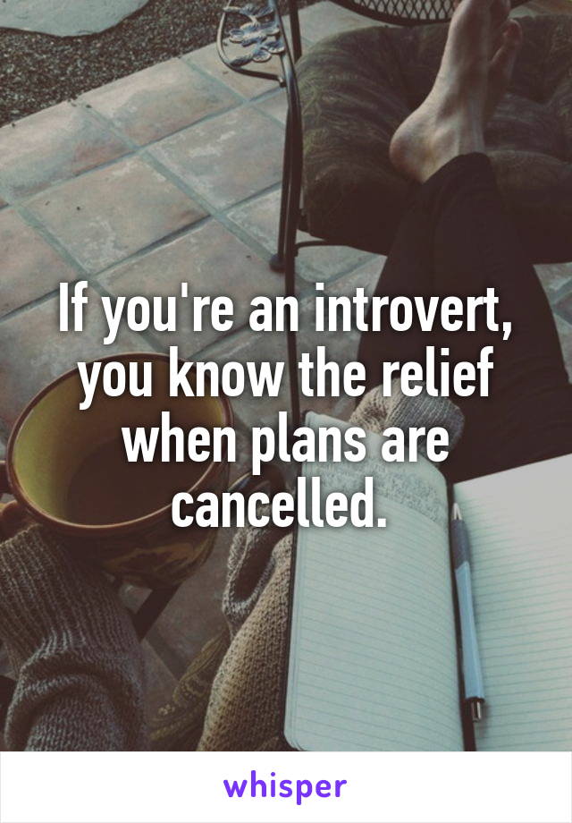 If you're an introvert, you know the relief when plans are cancelled. 
