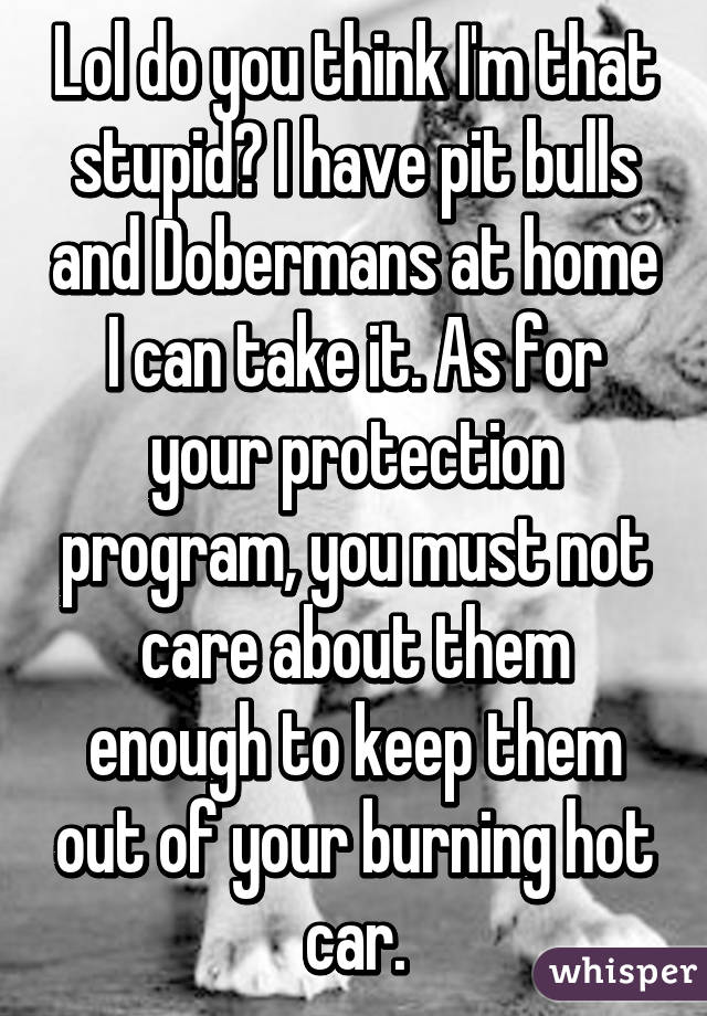 Lol do you think I'm that stupid? I have pit bulls and Dobermans at home I can take it. As for your protection program, you must not care about them enough to keep them out of your burning hot car.