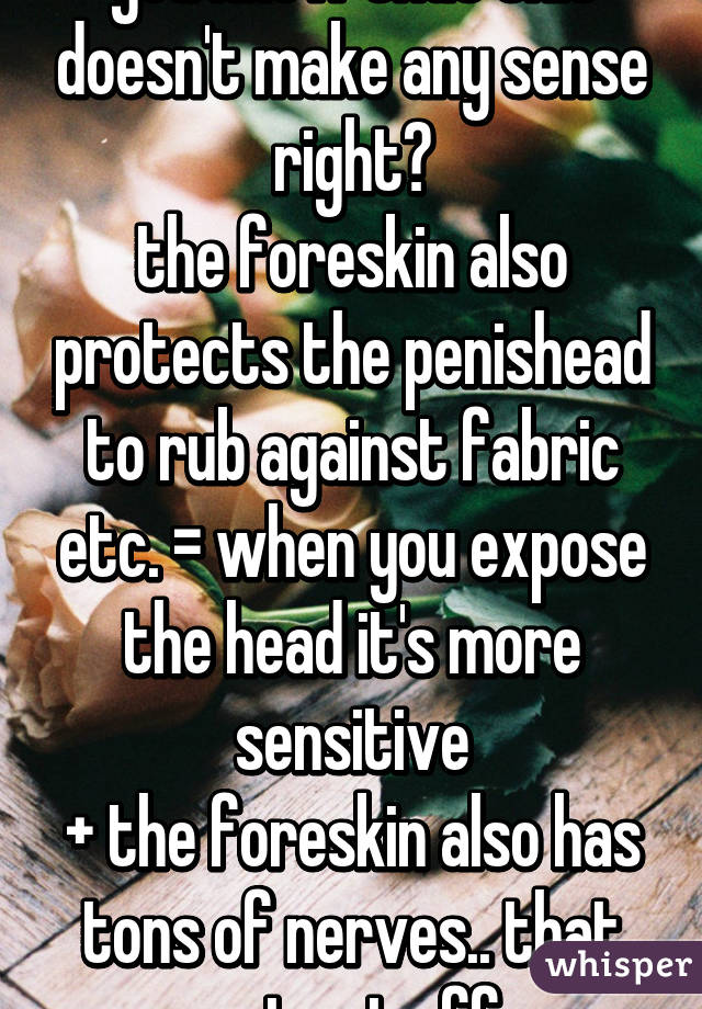 you know that this doesn't make any sense right?
the foreskin also protects the penishead to rub against fabric etc. = when you expose the head it's more sensitive
+ the foreskin also has tons of nerves.. that get cut off