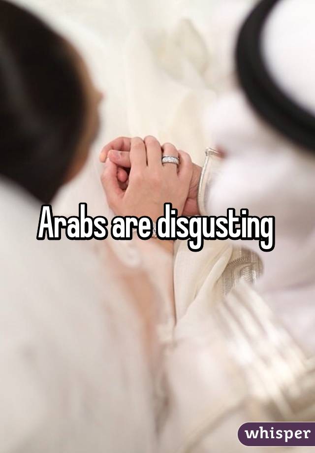 Arabs are disgusting 