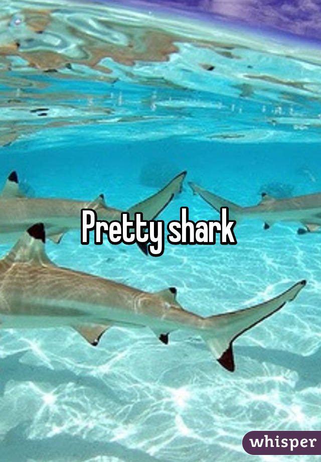 Pretty shark 