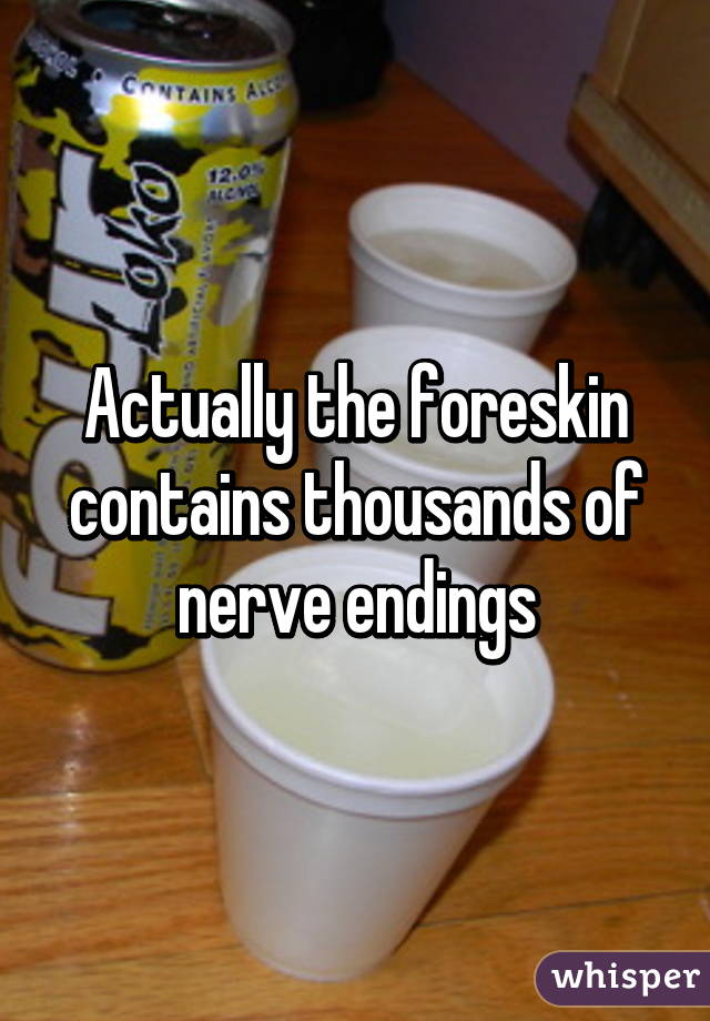 Actually the foreskin contains thousands of nerve endings