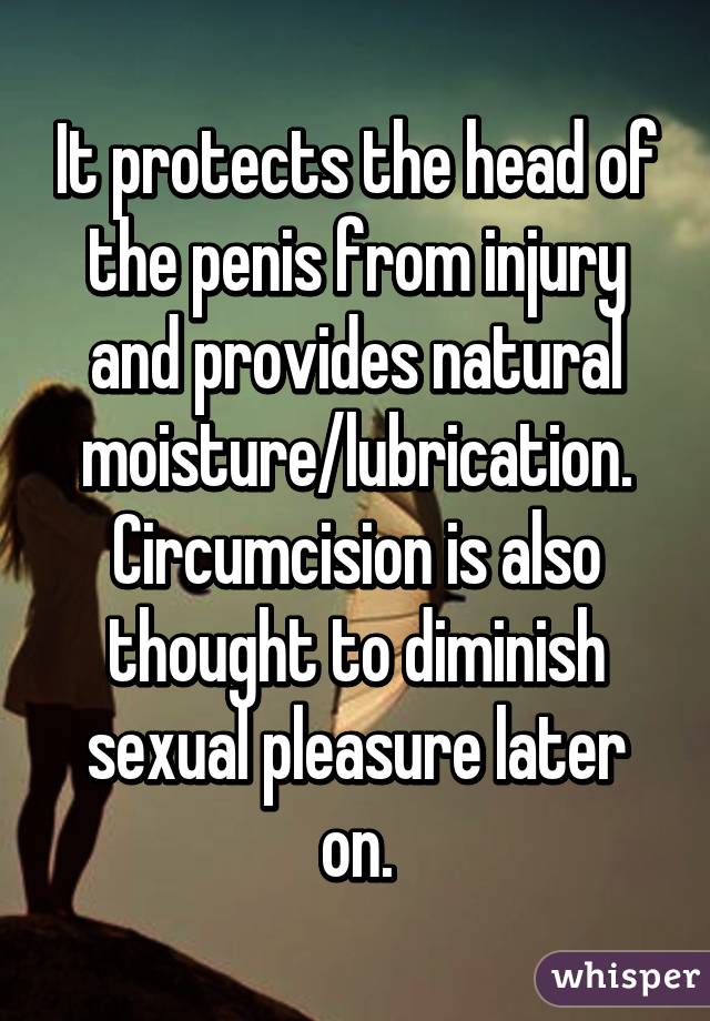 It protects the head of the penis from injury and provides natural moisture/lubrication. Circumcision is also thought to diminish sexual pleasure later on.