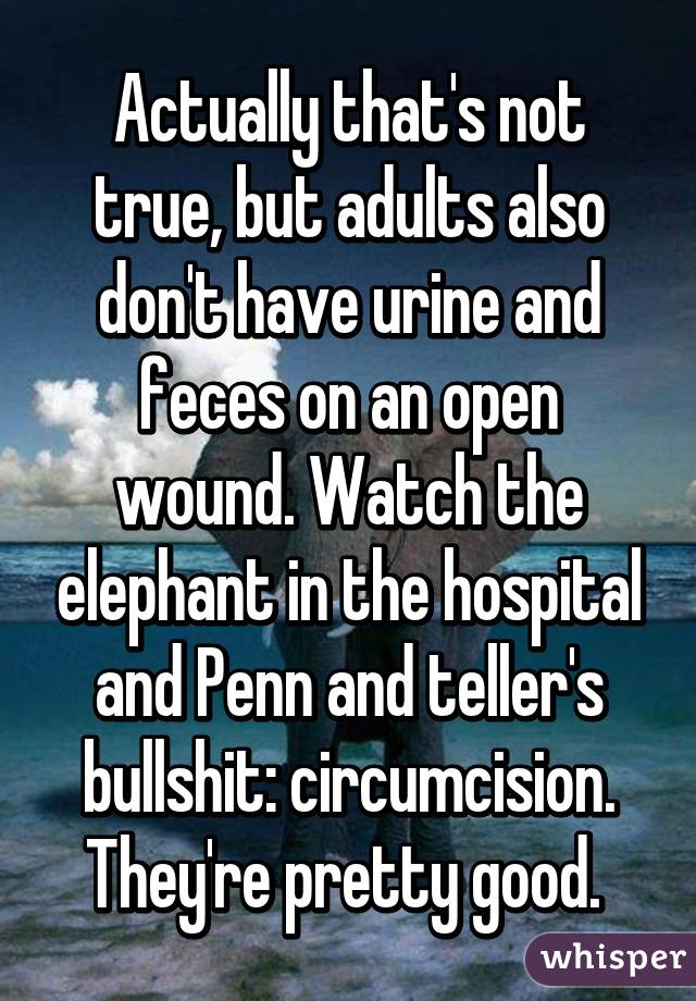 Actually that's not true, but adults also don't have urine and feces on an open wound. Watch the elephant in the hospital and Penn and teller's bullshit: circumcision. They're pretty good. 