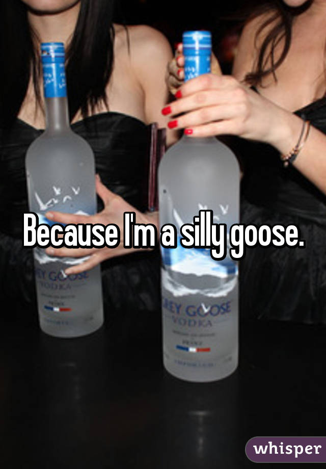 Because I'm a silly goose.