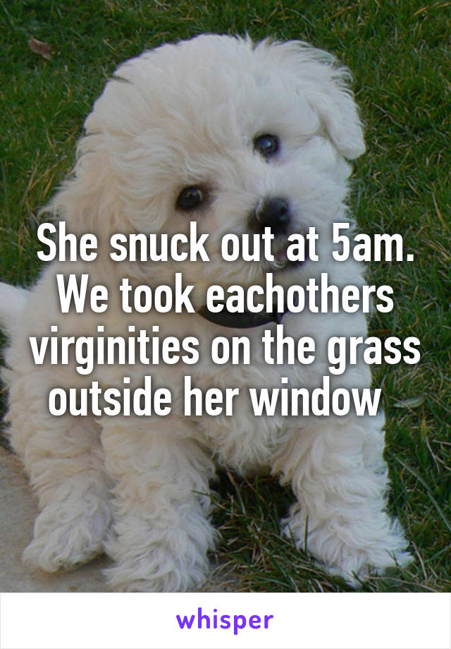 She snuck out at 5am. We took eachothers virginities on the grass outside her window  