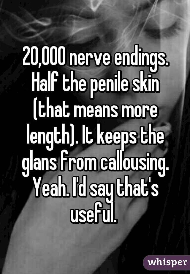 20,000 nerve endings. Half the penile skin (that means more length). It keeps the glans from callousing. Yeah. I'd say that's useful. 