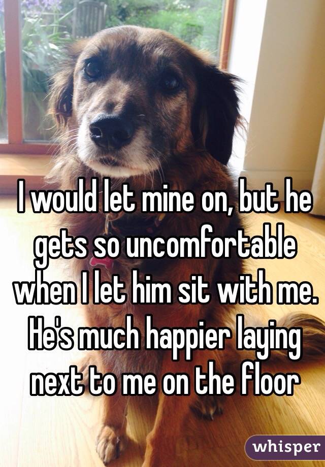 I would let mine on, but he gets so uncomfortable when I let him sit with me. He's much happier laying next to me on the floor 