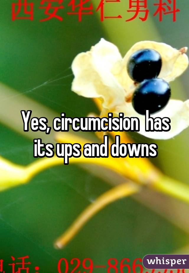 Yes, circumcision  has its ups and downs