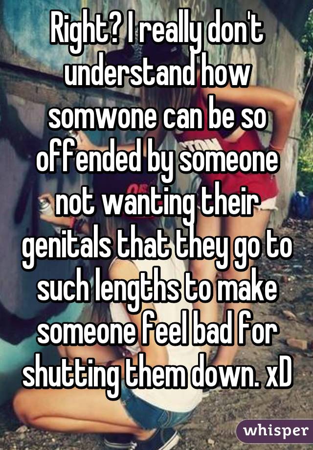 Right? I really don't understand how somwone can be so offended by someone not wanting their genitals that they go to such lengths to make someone feel bad for shutting them down. xD 