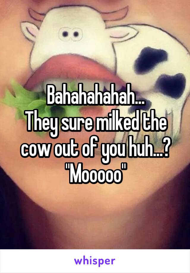 Bahahahahah...
They sure milked the cow out of you huh...?
"Mooooo"