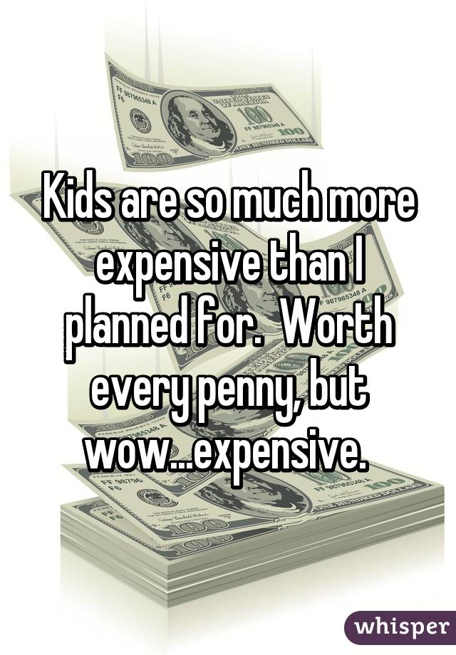 Kids are so much more expensive than I planned for.  Worth every penny, but wow...expensive. 