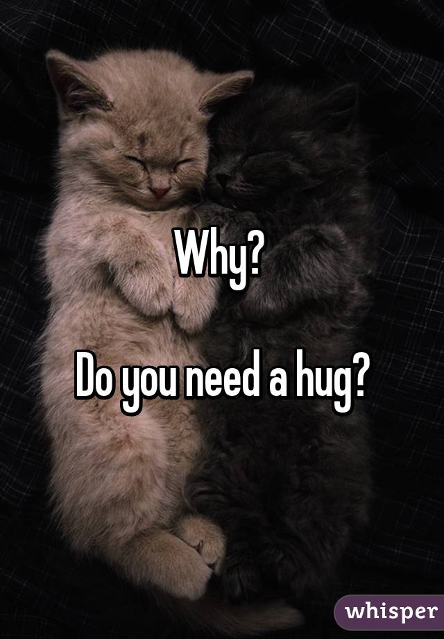 Why? 

Do you need a hug?