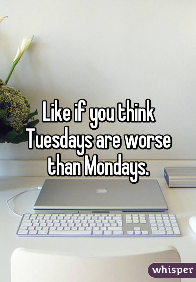 Like if you think Tuesdays are worse than Mondays.