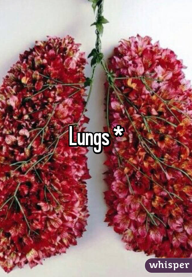 Lungs *