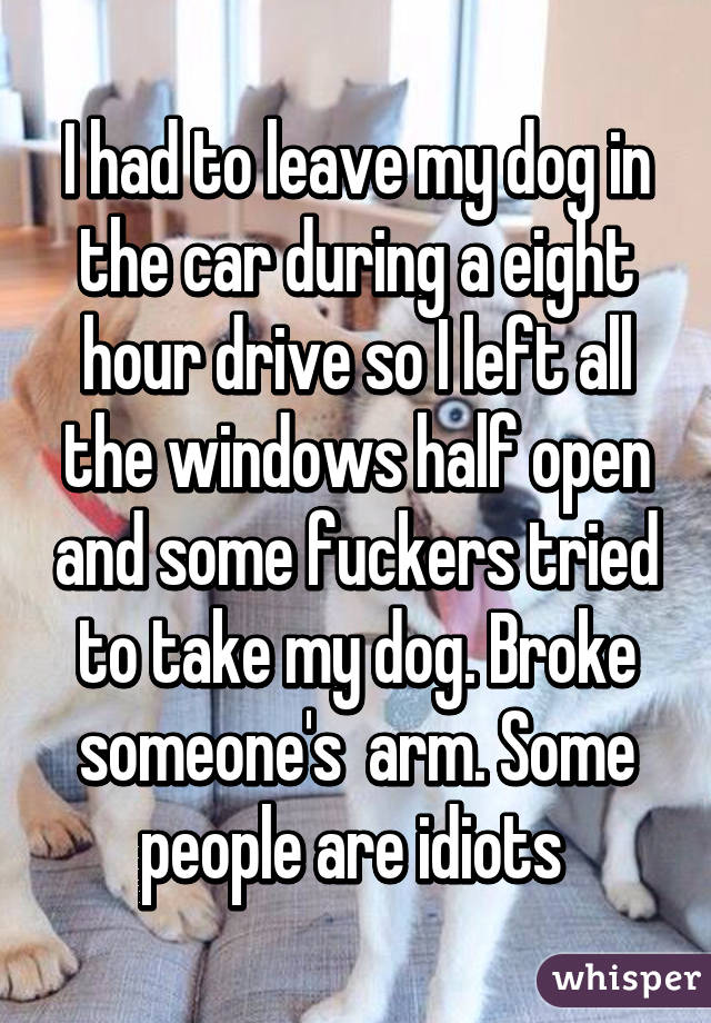 I had to leave my dog in the car during a eight hour drive so I left all the windows half open and some fuckers tried to take my dog. Broke someone's  arm. Some people are idiots 