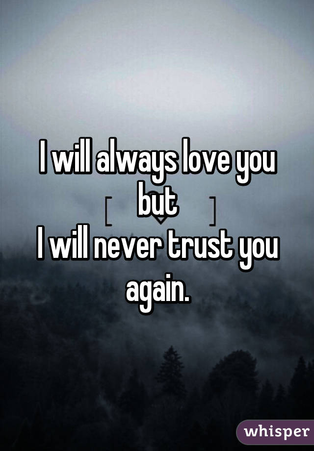 I will always love you
but
I will never trust you again.