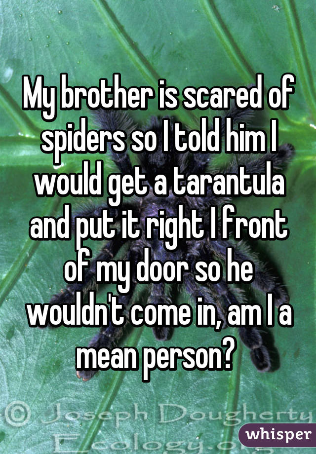 My brother is scared of spiders so I told him I would get a tarantula and put it right I front of my door so he wouldn't come in, am I a mean person? 