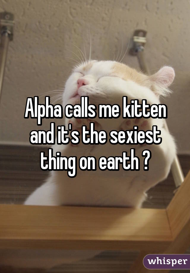 Alpha calls me kitten and it's the sexiest thing on earth 😍