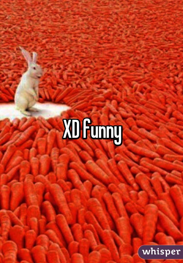XD funny