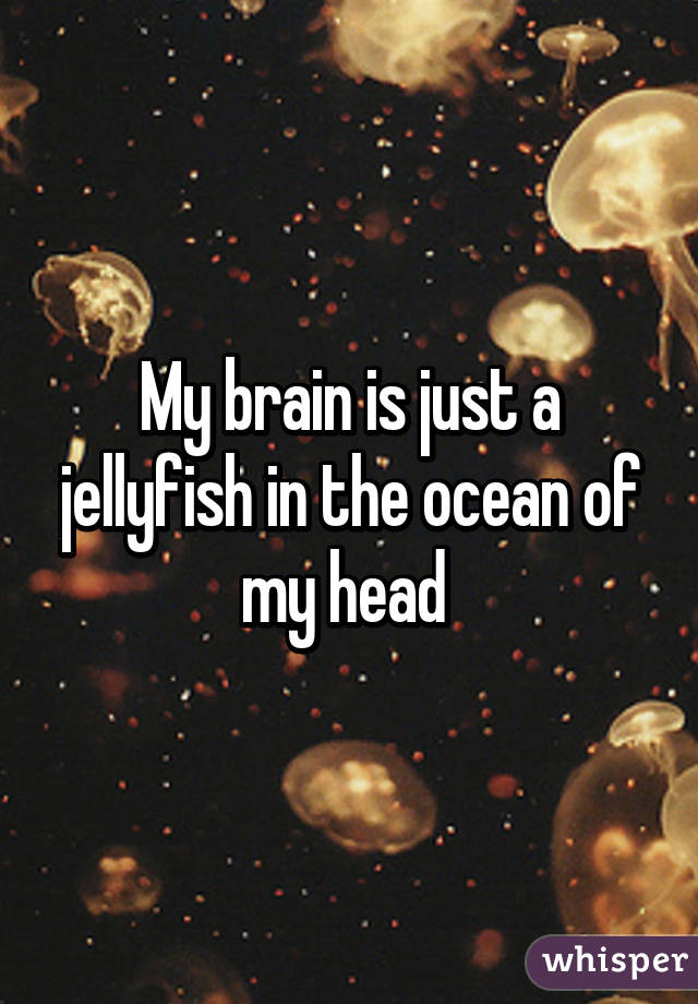 My brain is just a jellyfish in the ocean of my head 