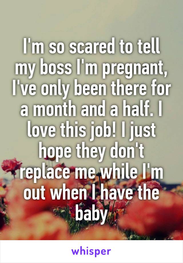 I'm so scared to tell my boss I'm pregnant, I've only been there for a month and a half. I love this job! I just hope they don't replace me while I'm out when I have the baby