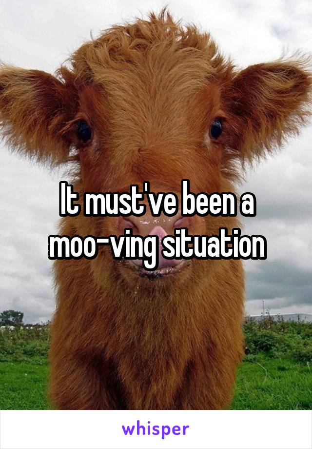 It must've been a moo-ving situation