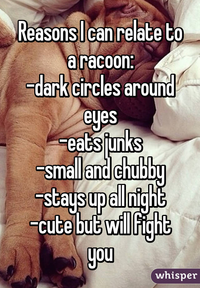 Reasons I can relate to a racoon:
-dark circles around eyes
-eats junks
-small and chubby
-stays up all night
-cute but will fight you