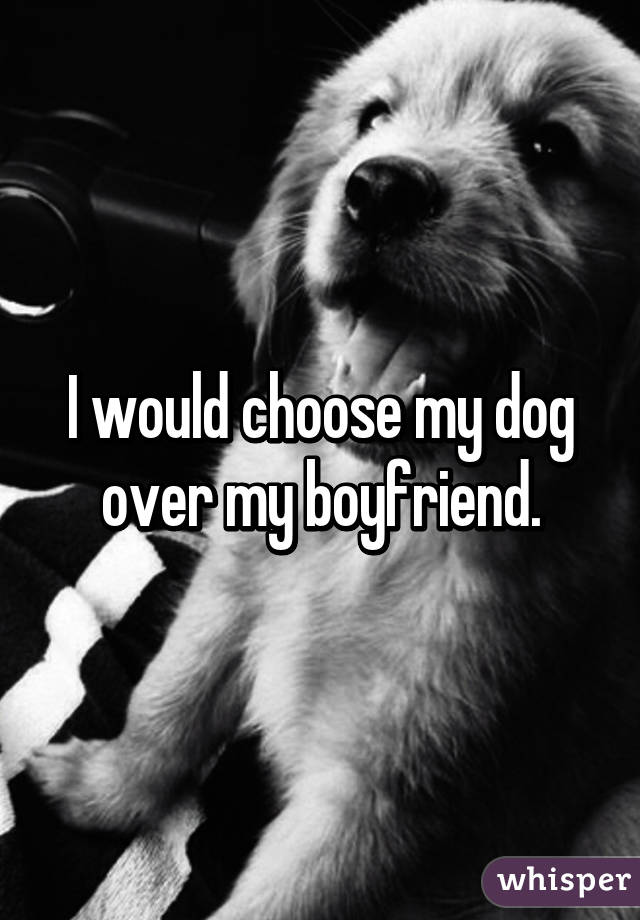 I would choose my dog over my boyfriend.