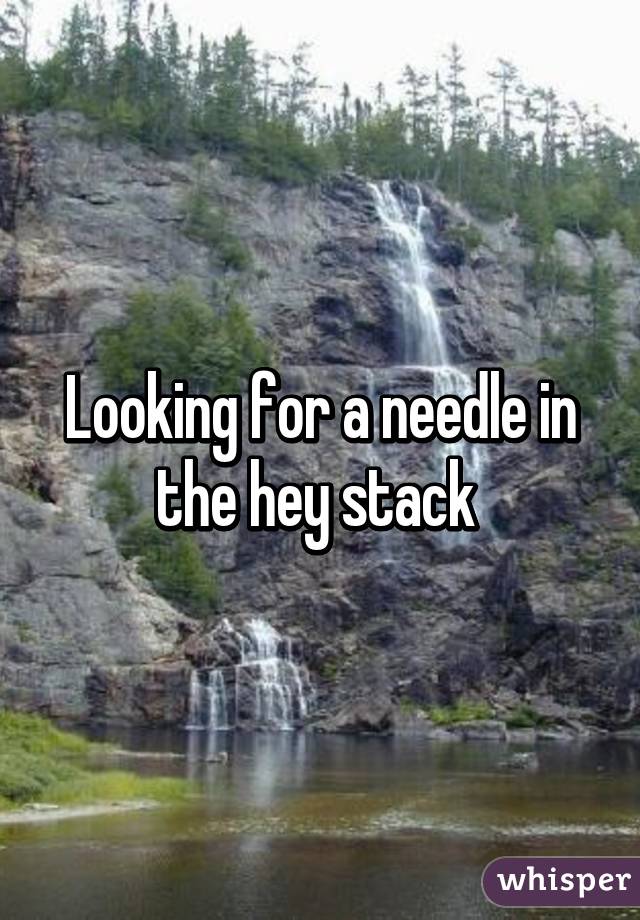 Looking for a needle in the hey stack 