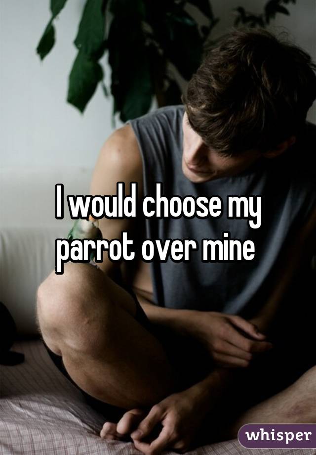 I would choose my parrot over mine 