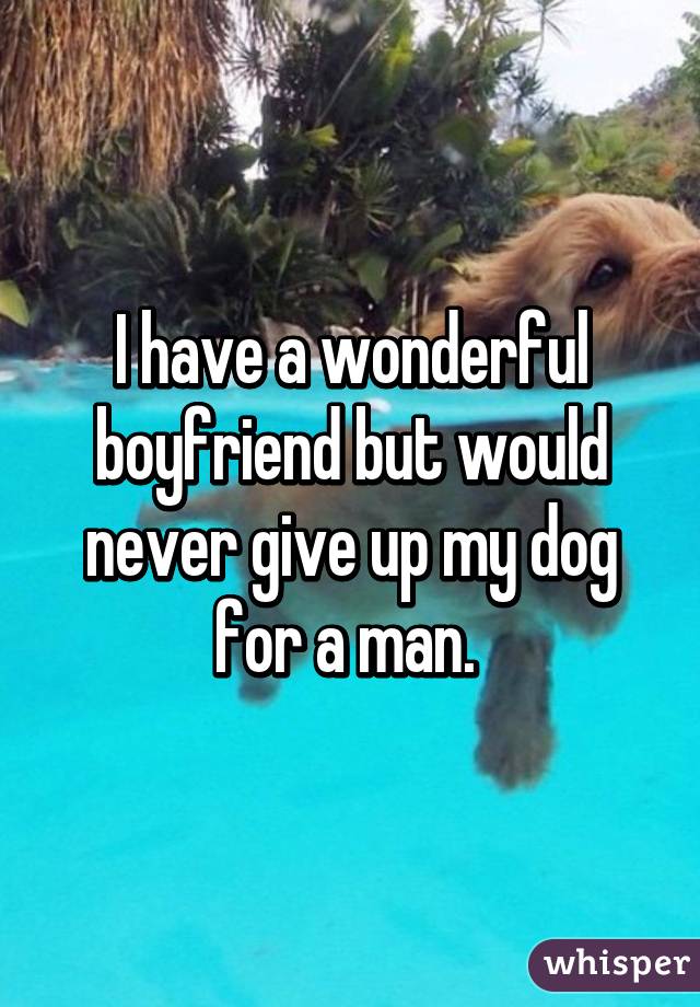 I have a wonderful boyfriend but would never give up my dog for a man. 