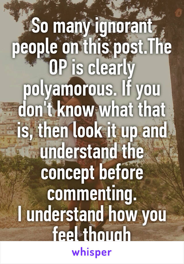 So many ignorant people on this post.The OP is clearly polyamorous. If you don't know what that is, then look it up and understand the concept before commenting.
I understand how you feel though