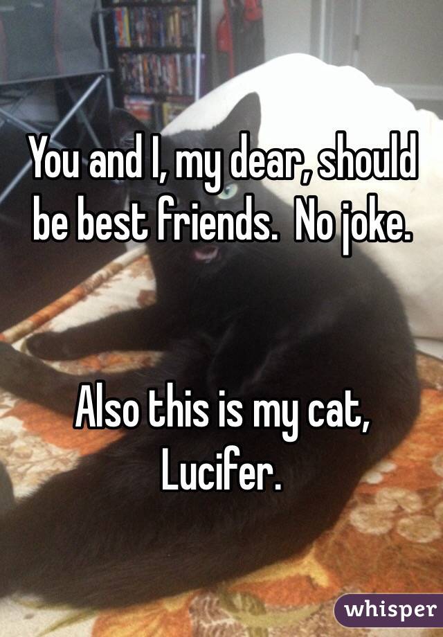 You and I, my dear, should be best friends.  No joke. 


Also this is my cat, Lucifer.  