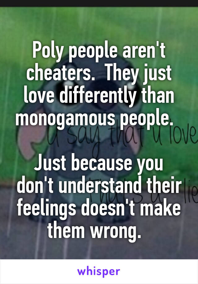 Poly people aren't cheaters.  They just love differently than monogamous people.  

Just because you don't understand their feelings doesn't make them wrong.  