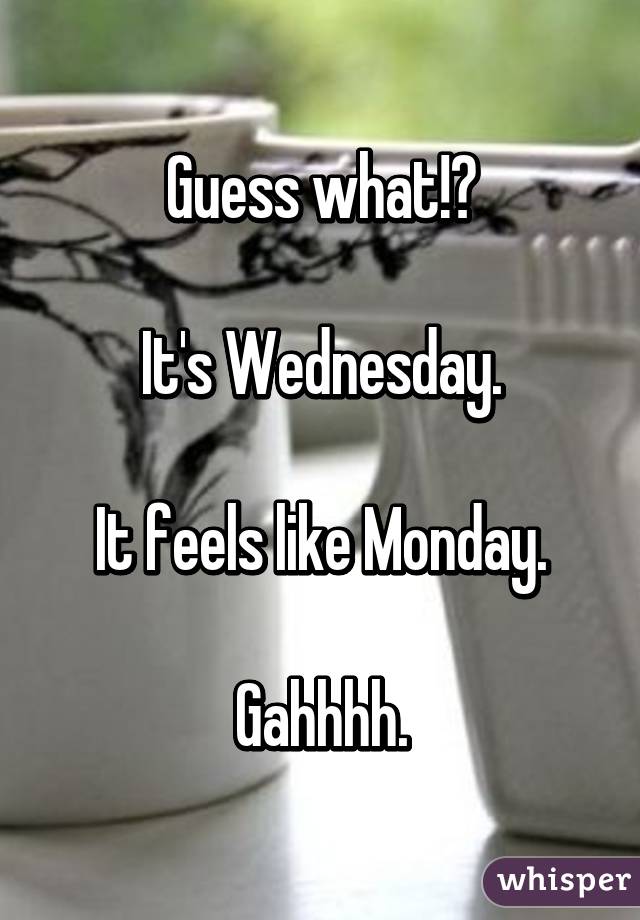 Guess what!?

It's Wednesday.

It feels like Monday.

Gahhhh.
