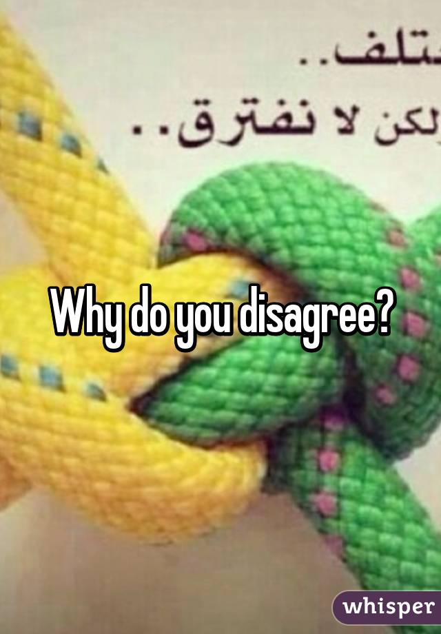 Why do you disagree?