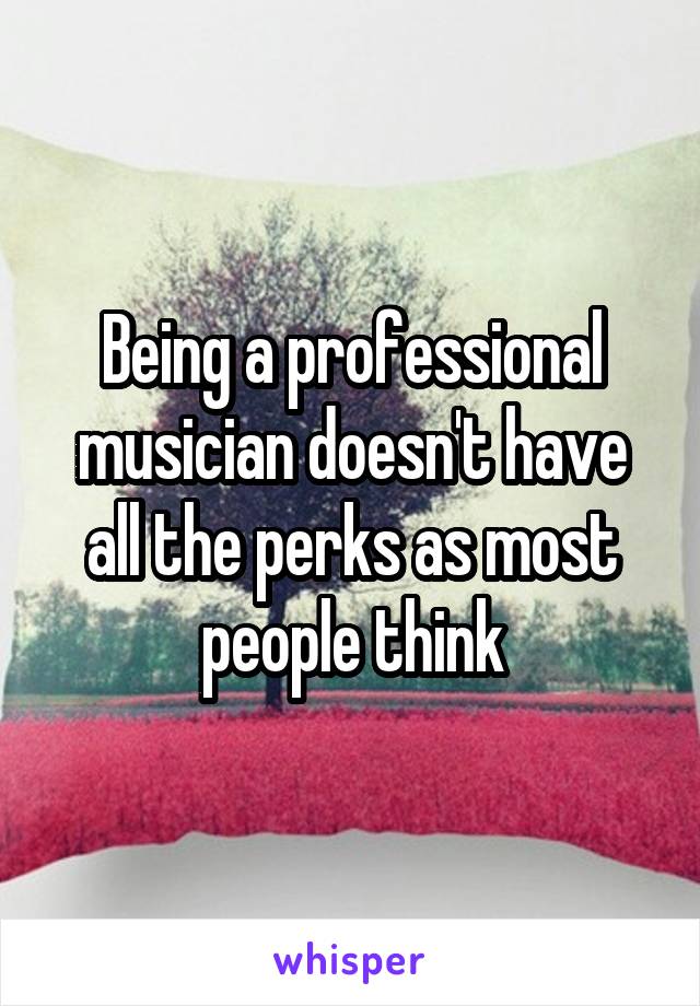 Being a professional musician doesn't have all the perks as most people think