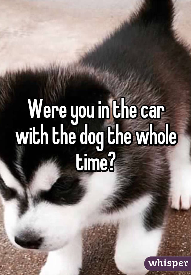 Were you in the car with the dog the whole time?