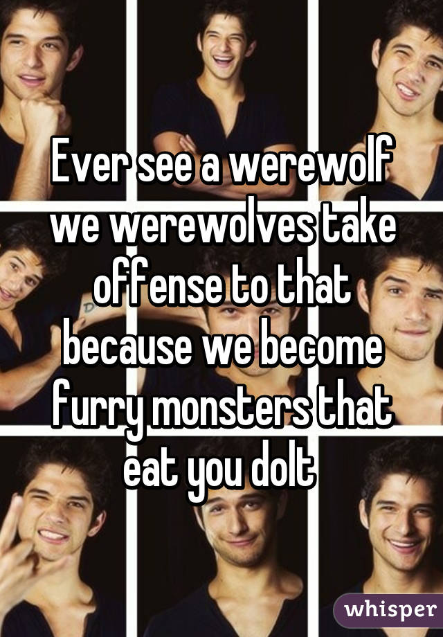 Ever see a werewolf we werewolves take offense to that because we become furry monsters that eat you dolt 