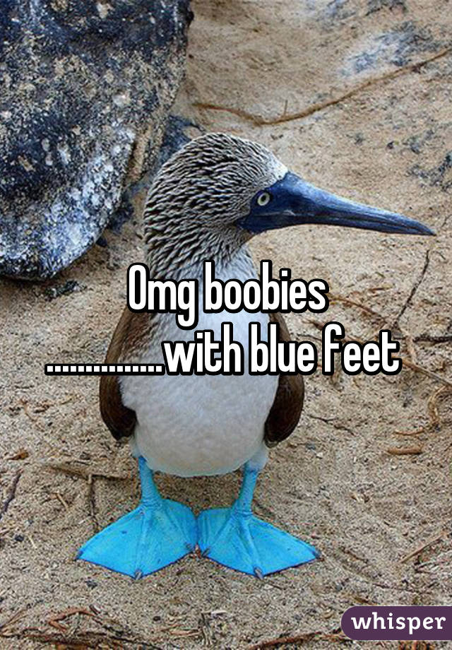 Omg boobies ...............with blue feet 