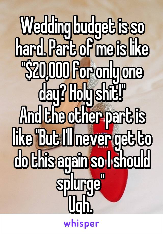 Wedding budget is so hard. Part of me is like "$20,000 for only one day? Holy shit!"
And the other part is like "But I'll never get to do this again so I should splurge" 
Ugh. 