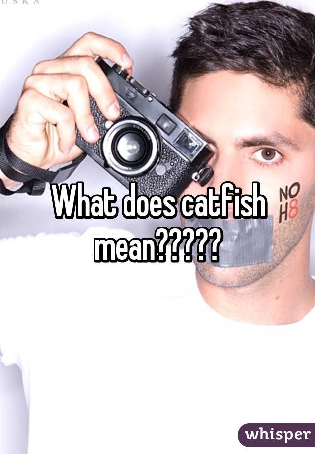 What does catfish mean?????