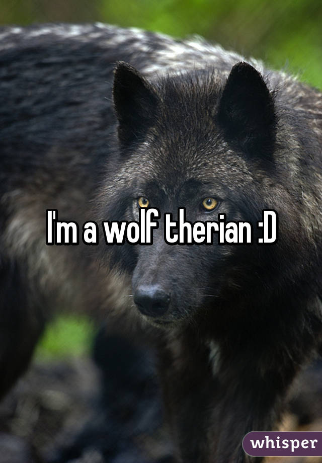 I'm a wolf therian :D