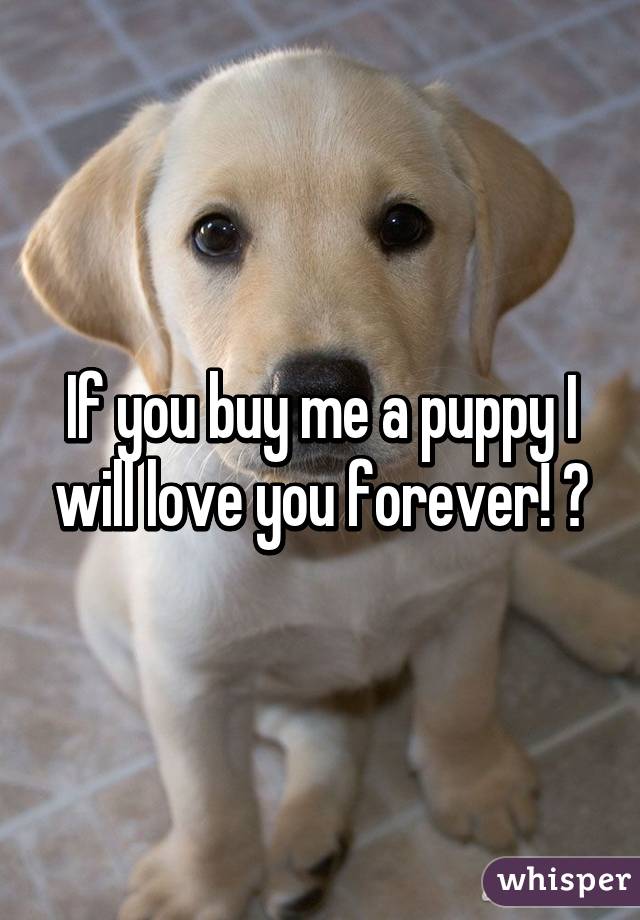 If you buy me a puppy I will love you forever! 😍
