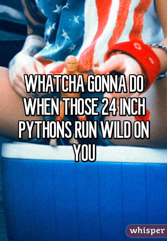 WHATCHA GONNA DO WHEN THOSE 24 INCH PYTHONS RUN WILD ON YOU