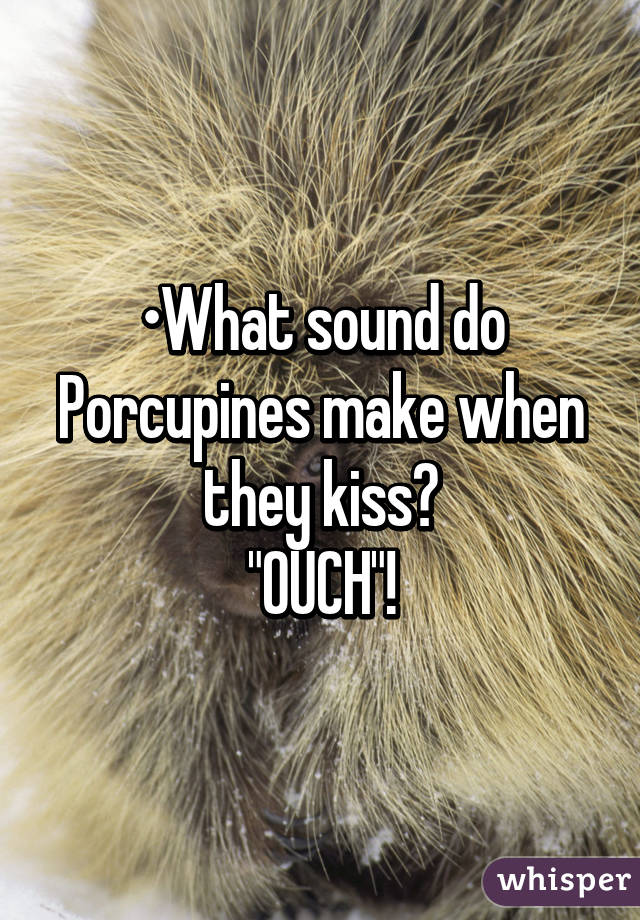 •What sound do Porcupines make when they kiss?
"OUCH"!